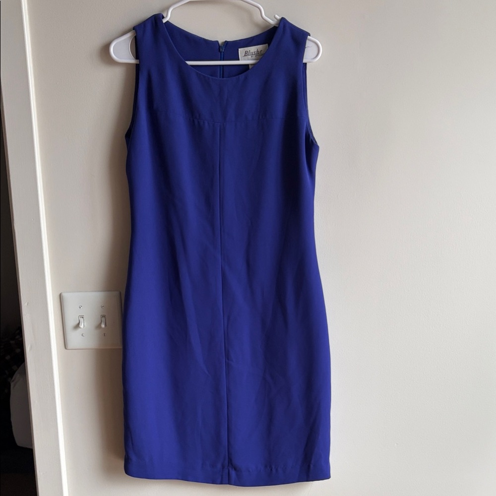 Blush Sleeveless Violet Sheath Dress